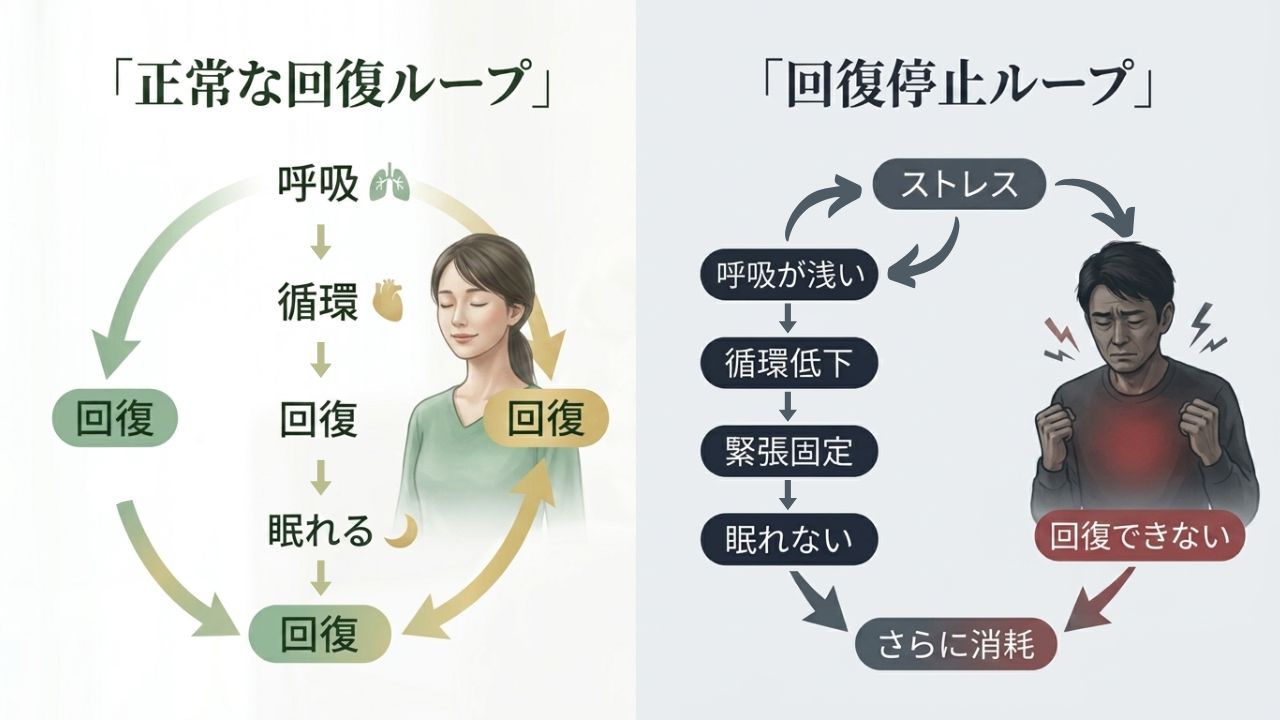 一時的に楽になっても戻る回復ループの比較 岩国市 太子堂整体院