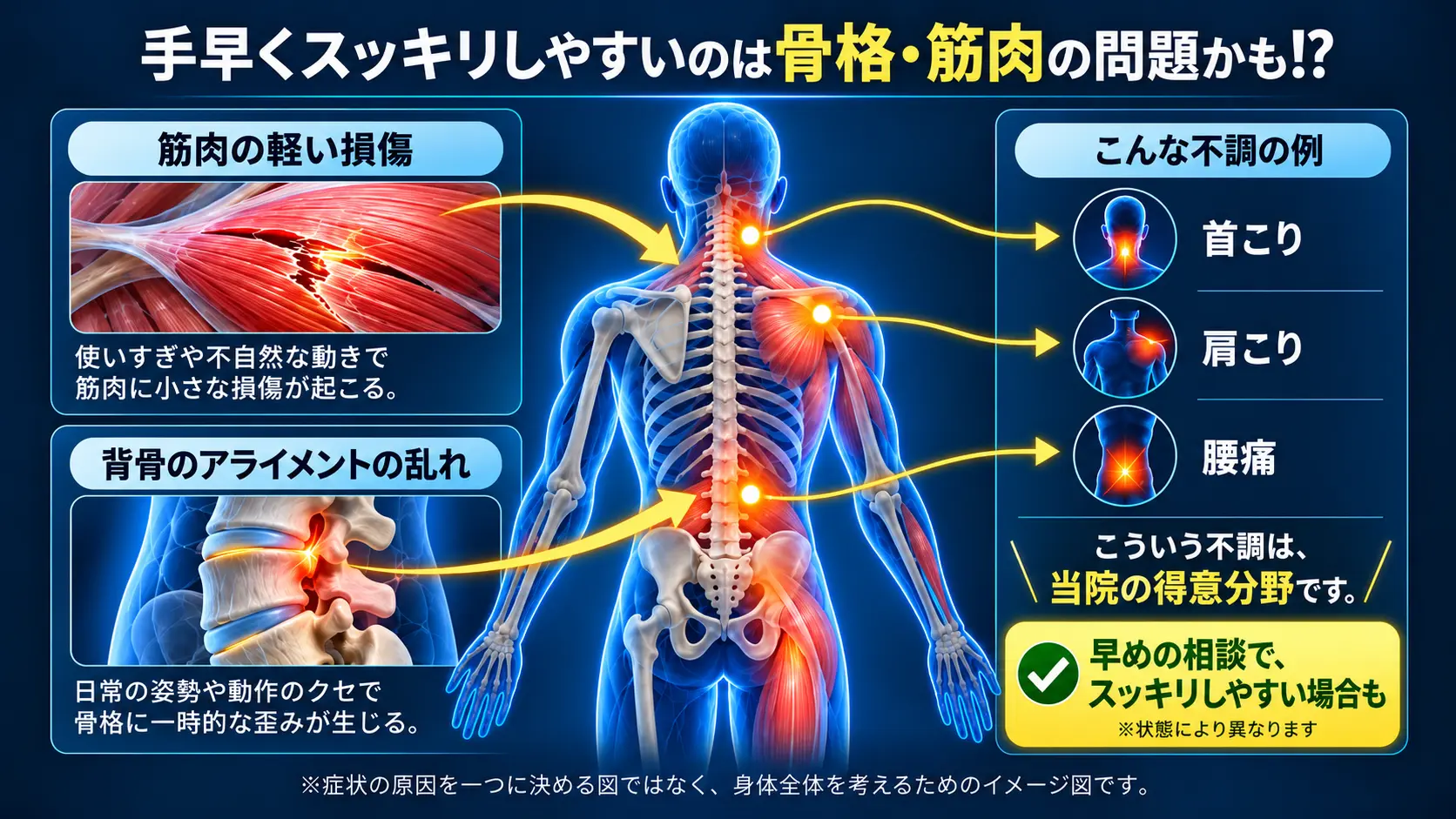 骨格・筋肉の状態を確認する施術の概念図