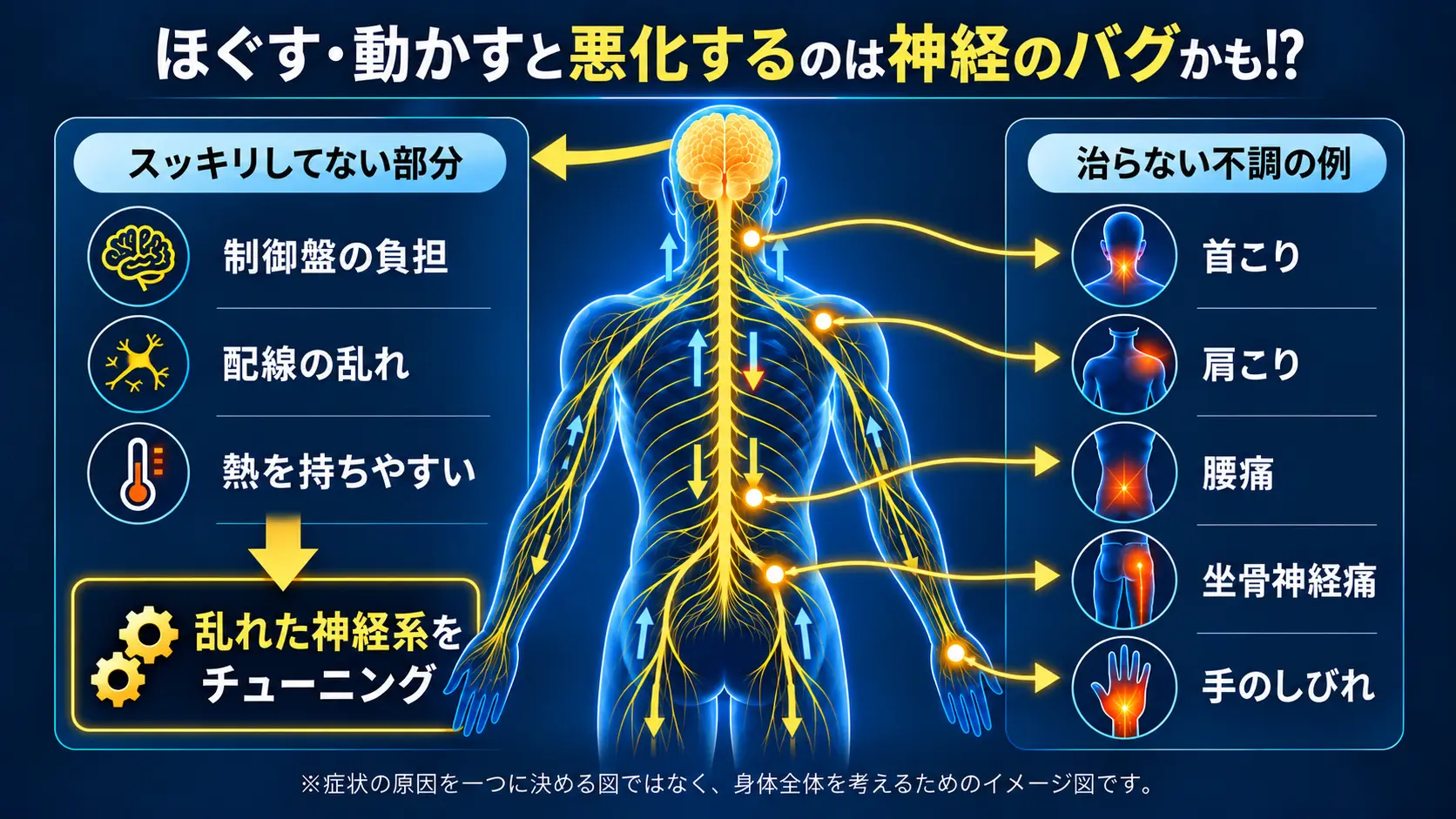神経系のコンディションに着目するチューニングの概念図