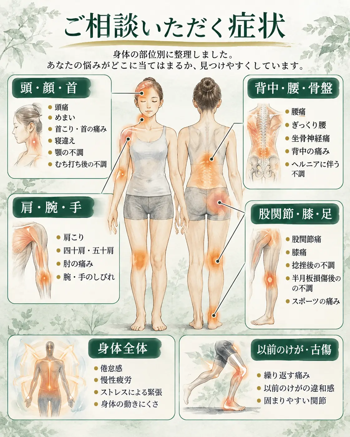 ご相談いただく症状を身体の部位別に示した図解